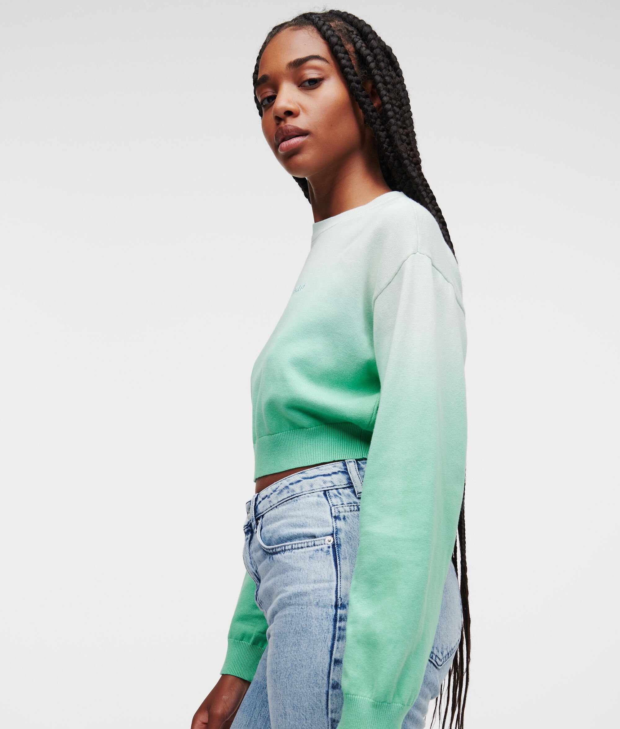 (image for) Clear KLJ OMBRÉ CROPPED JUMPER